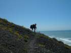 lostcoast281_small.jpg
