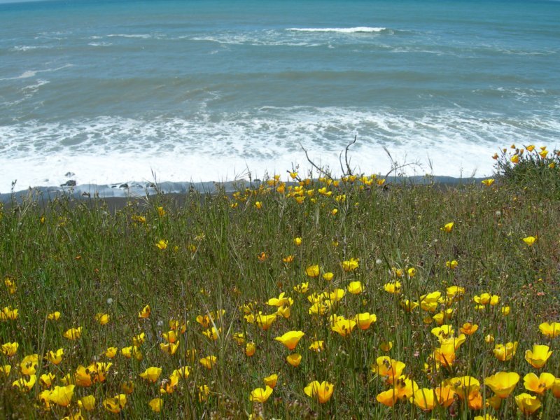 lostcoast287.jpg