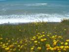 lostcoast287_small.jpg