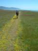 lostcoast301_small.jpg