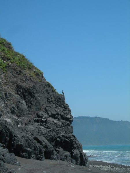 lostcoast314.jpg