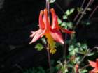 lostcoast323_small.jpg