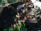lostcoast324_small.jpg