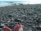 lostcoast325_small.jpg