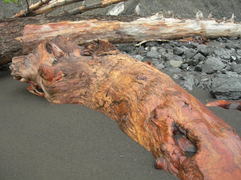lostcoast354.jpg