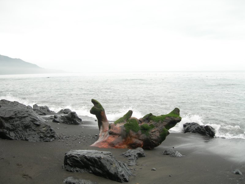 lostcoast357.jpg