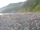 lostcoast372_small.jpg