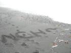 lostcoast393_small.jpg