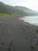 lostcoast395_small.jpg