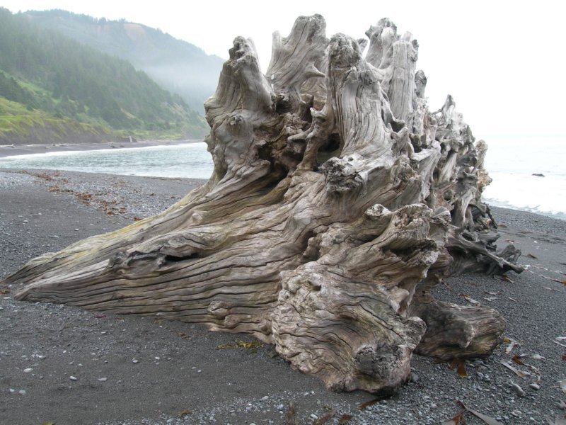 lostcoast398.jpg