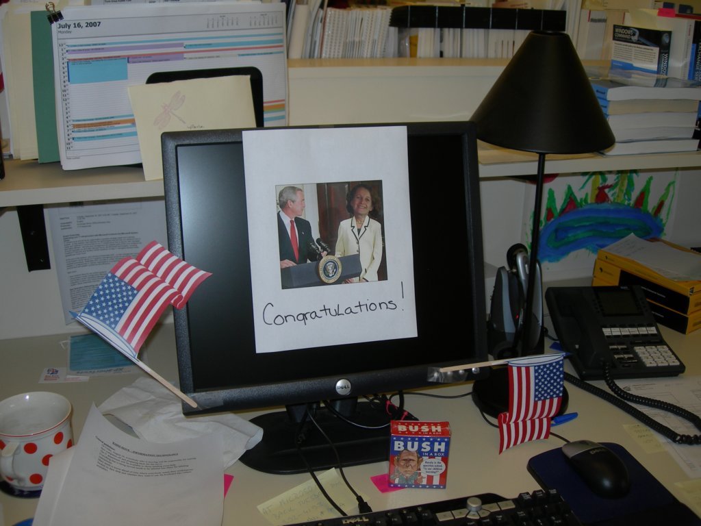 naturalization003.jpg