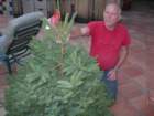christmas010_small.jpg