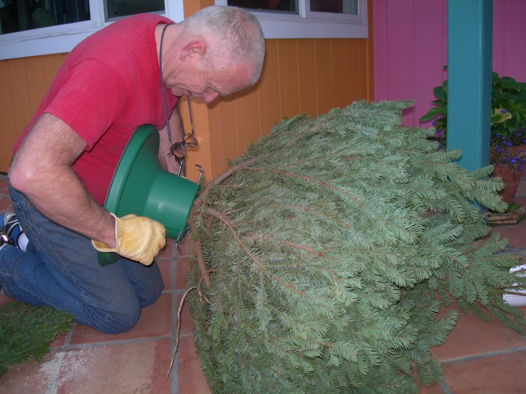 christmas012.jpg