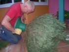 christmas012_small.jpg