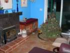 christmas037_small.jpg