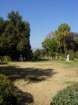 pasadena016_small.jpg