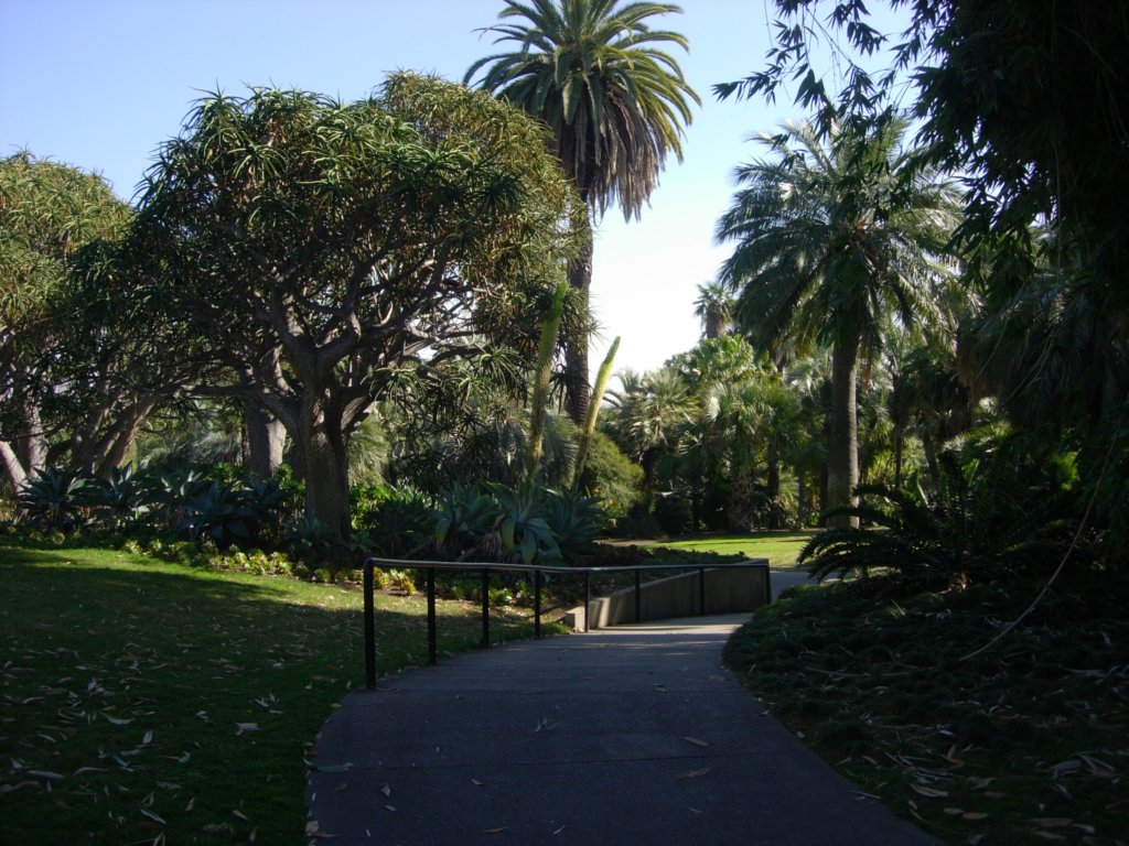 pasadena017.jpg