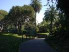 pasadena017_small.jpg