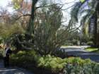 pasadena034_small.jpg