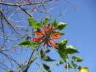 pasadena048_small.jpg