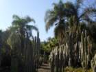 pasadena053_small.jpg