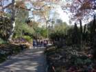 pasadena054_small.jpg