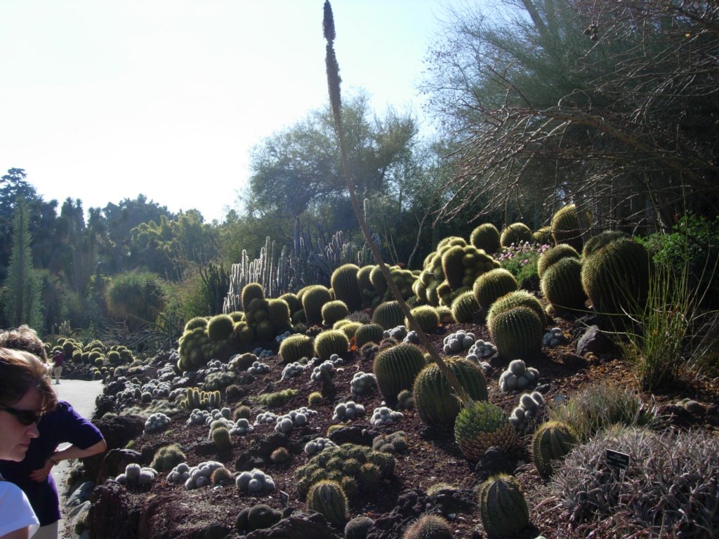 pasadena056.jpg