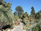 pasadena061_small.jpg