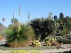 pasadena065_small.jpg