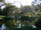 pasadena094_small.jpg