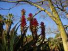 pasadena139_small.jpg