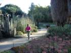pasadena140_small.jpg