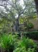 pasadena270_small.jpg