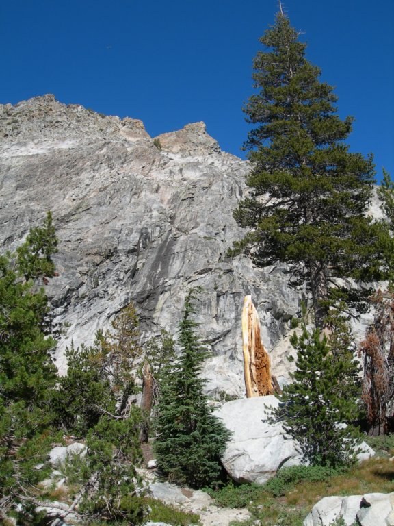 yosemiteloop016.jpg