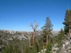 yosemiteloop053_small.jpg