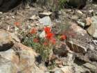 yosemiteloop081_small.jpg