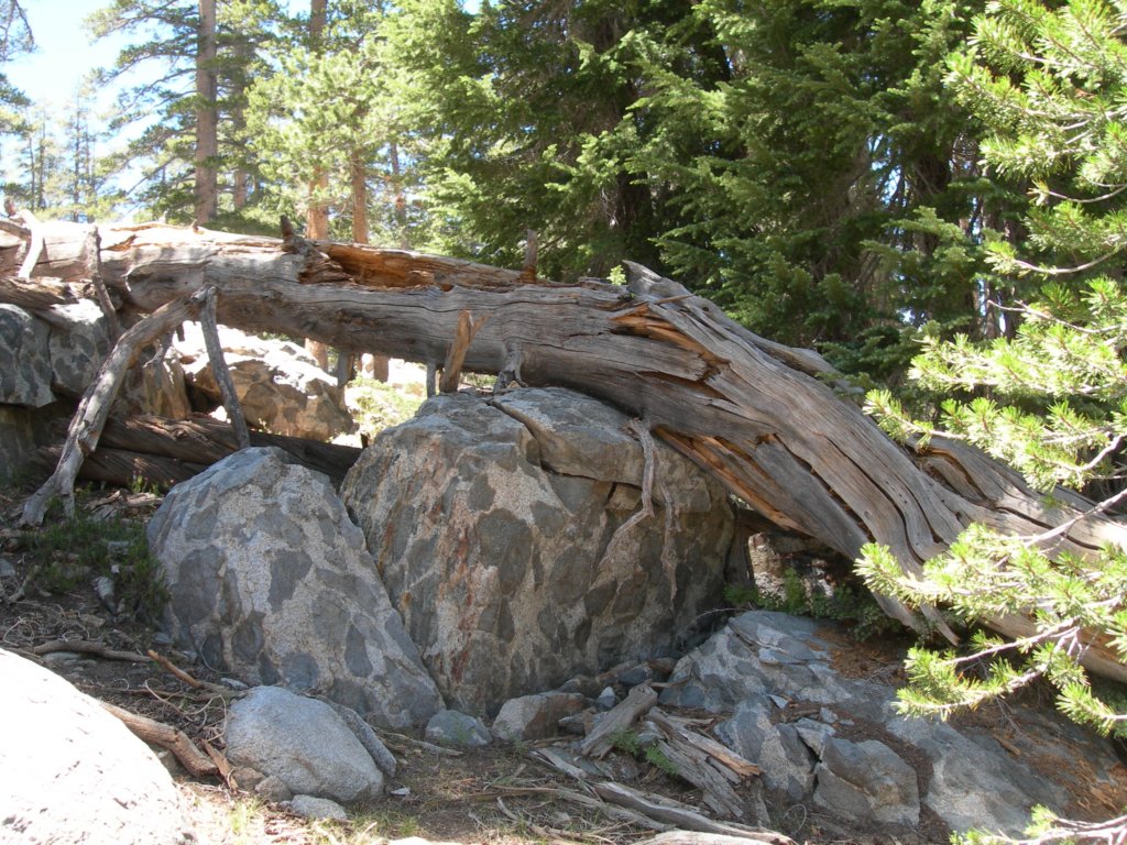 yosemiteloop088.jpg