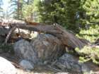yosemiteloop088_small.jpg
