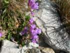 yosemiteloop118_small.jpg