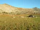 yosemiteloop149_small.jpg
