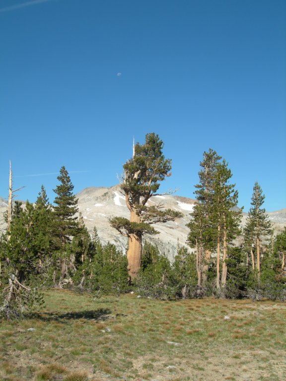 yosemiteloop182.jpg