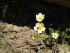 yosemiteloop200_small.jpg
