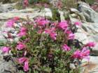 yosemiteloop225_small.jpg