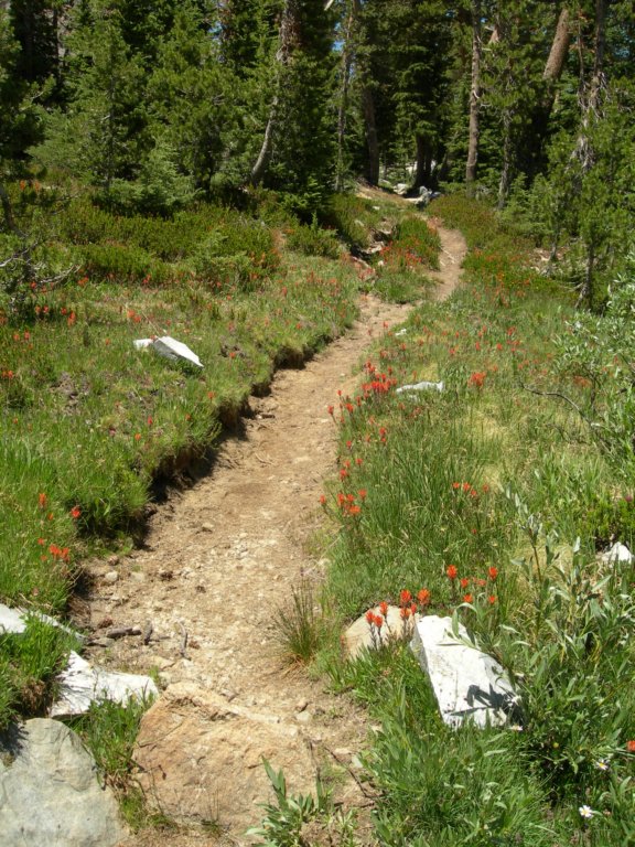 yosemiteloop242.jpg