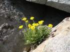 yosemiteloop302_small.jpg