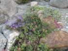 yosemiteloop313_small.jpg