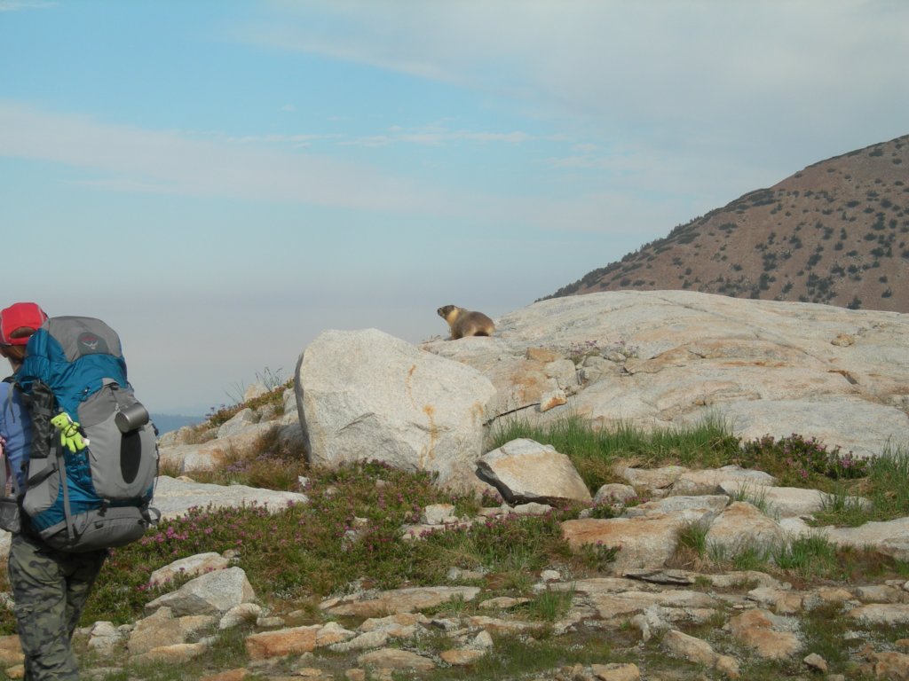 yosemiteloop391.jpg