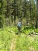 yosemiteloop423_small.jpg