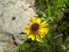 yosemiteloop438_small.jpg