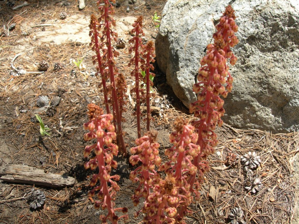 isbergpass015.jpg